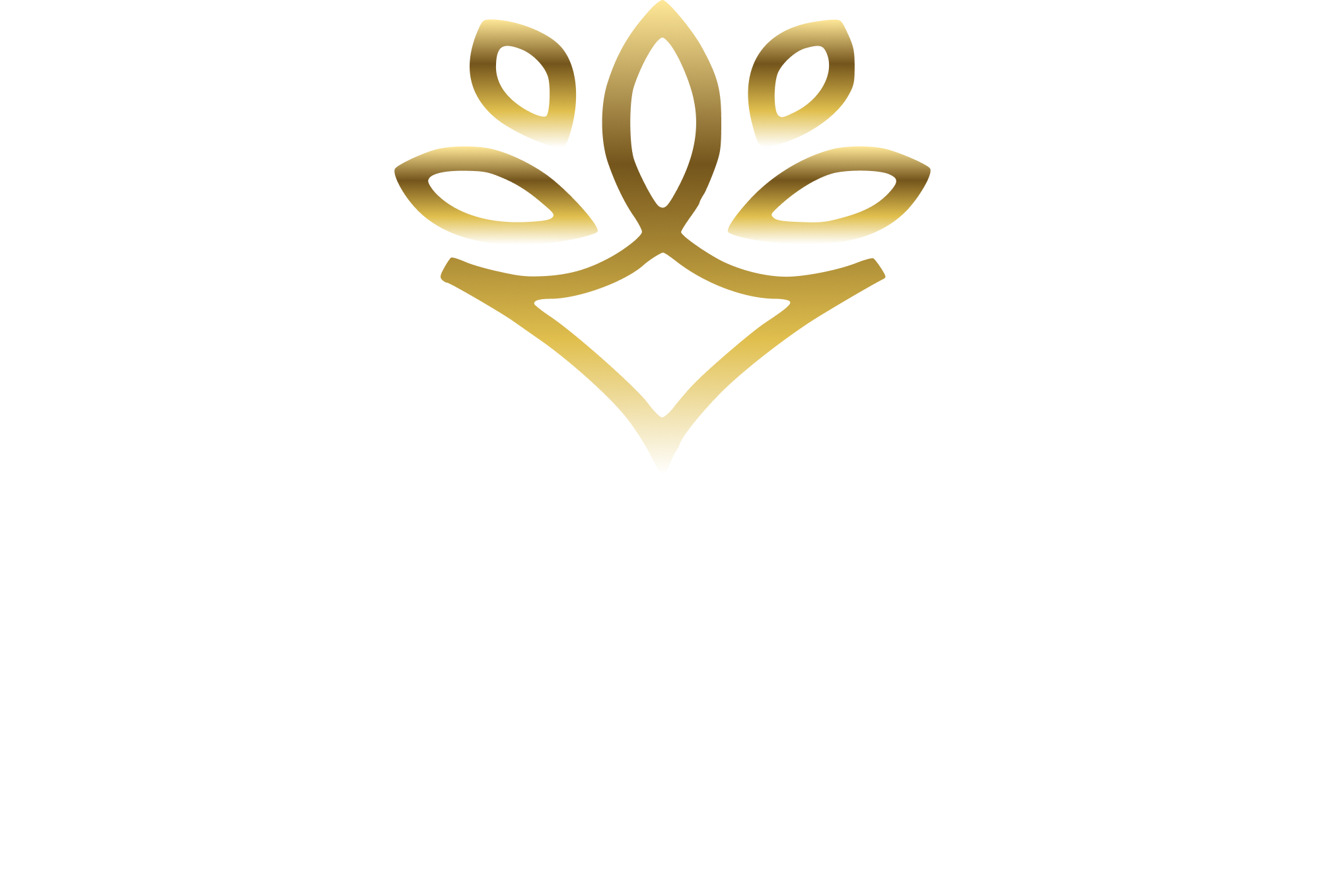 M.Dutra Soluções Financeiras